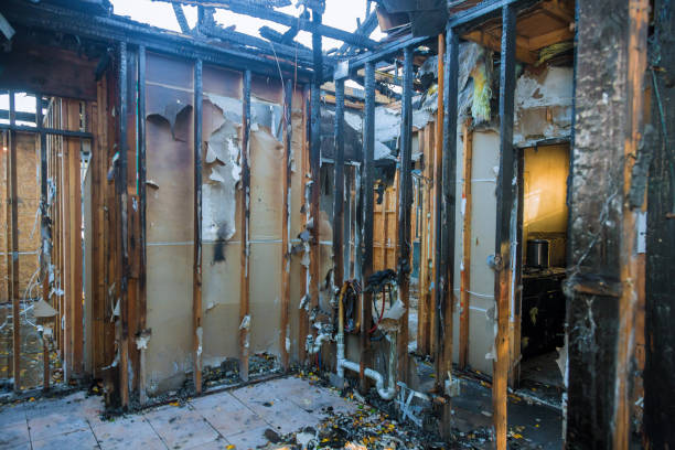Professional Smoke Damage Removal technician working in Walla Walla East, WA